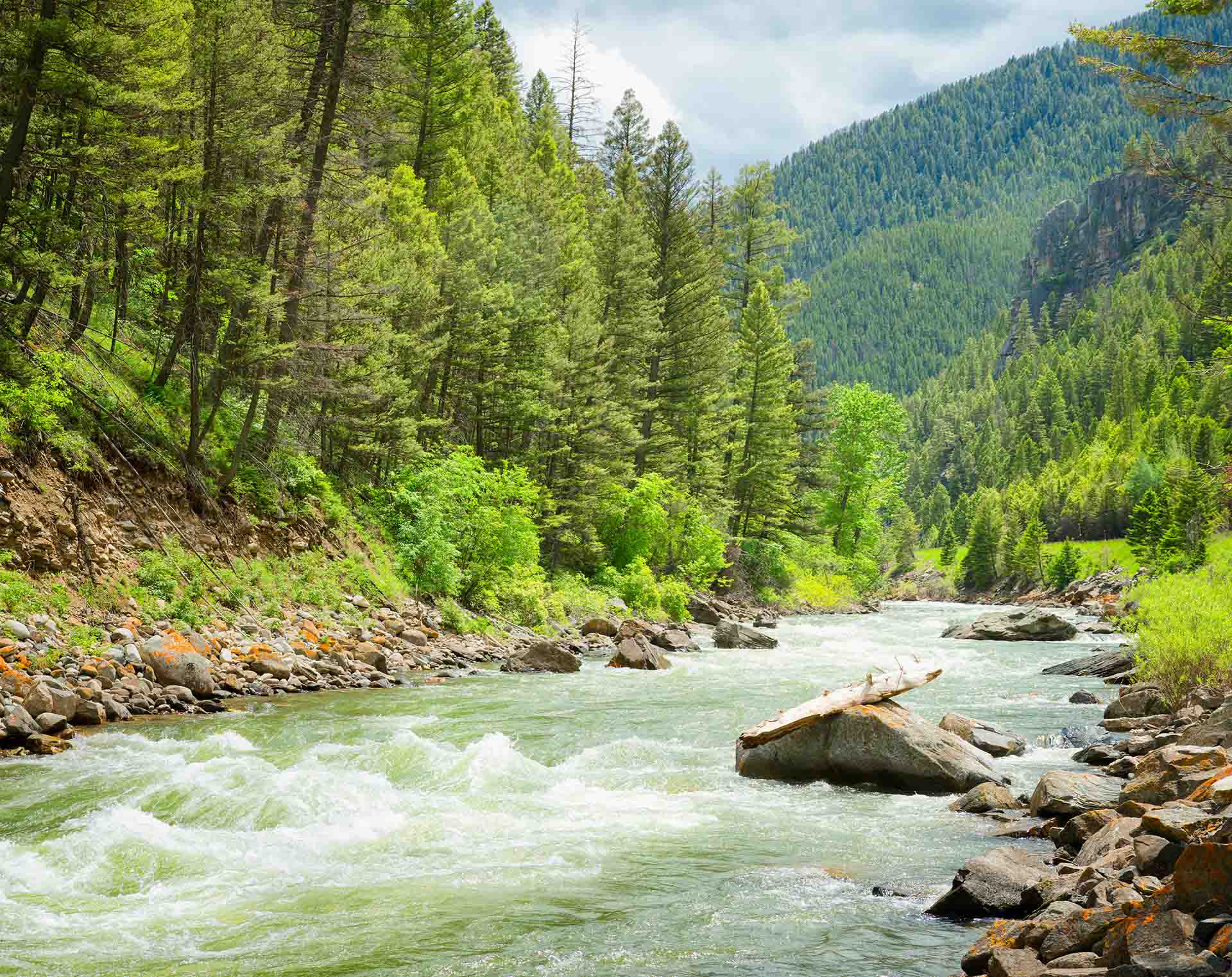 A river running through mountains covered in trees