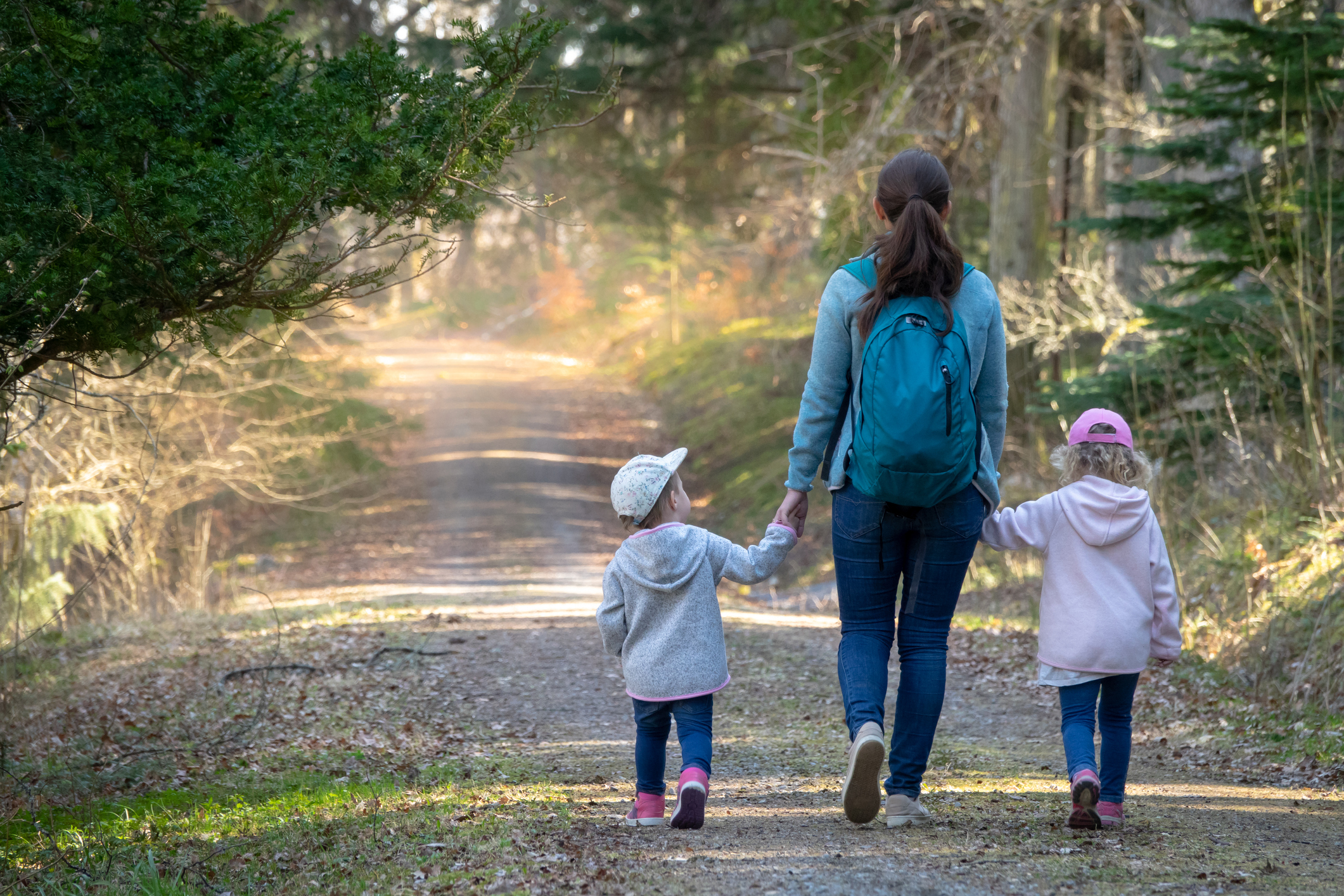 Family hiking in the woods